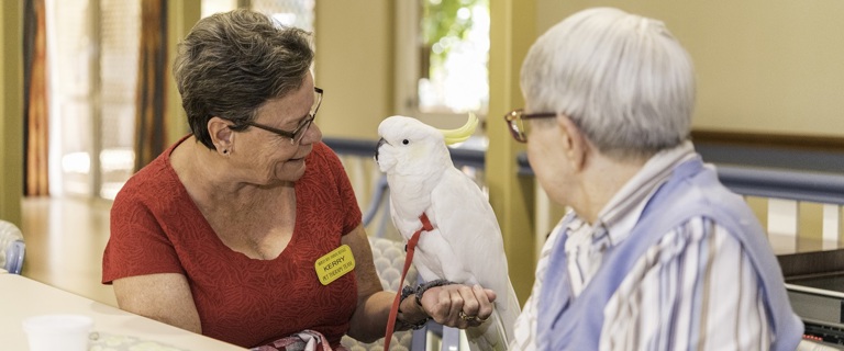 BaycrestPetTherapy.jpg BaycrestPetTherapy.jpg