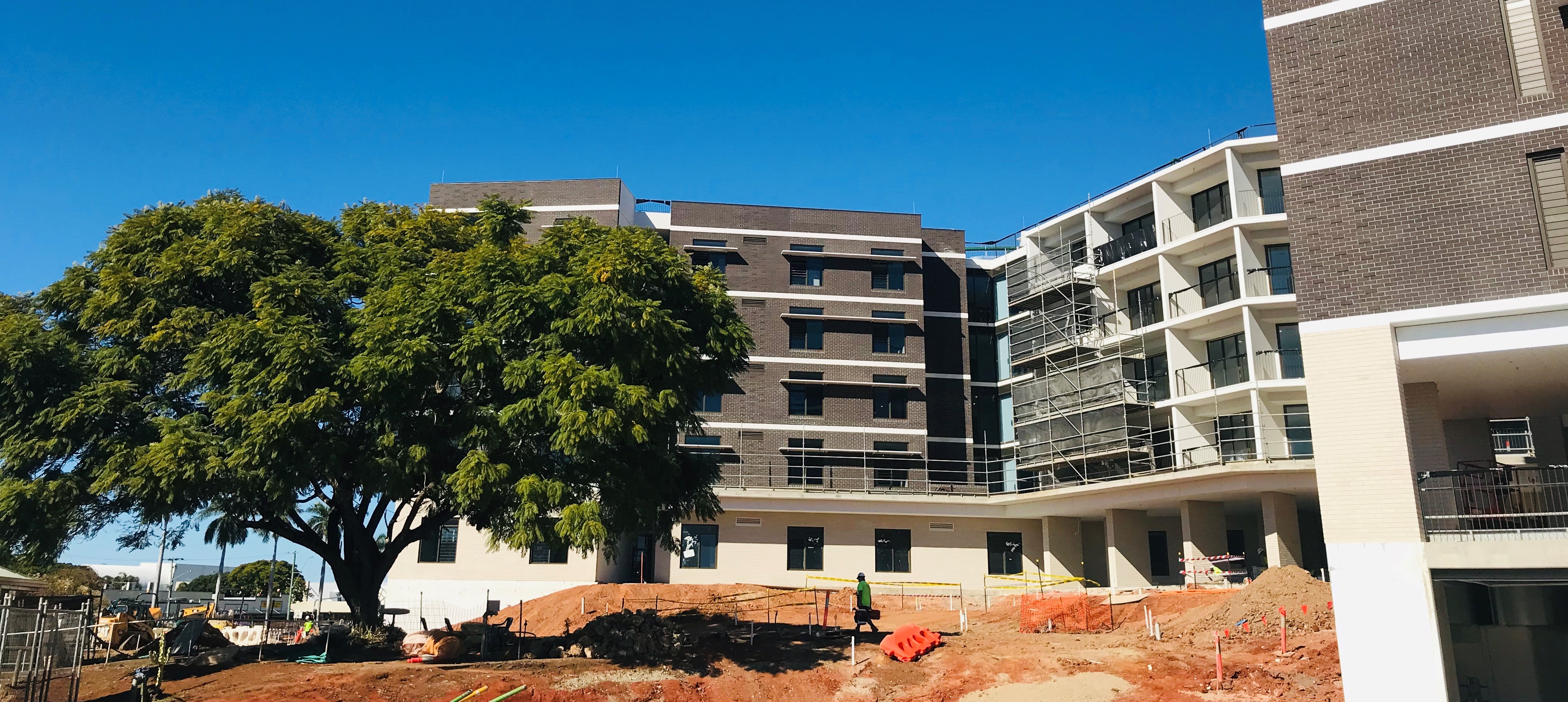 Jacaranda with building_edit.jpg