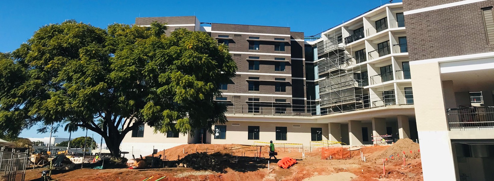 Jacaranda with building_edit.jpg Jacaranda with building_edit.jpg