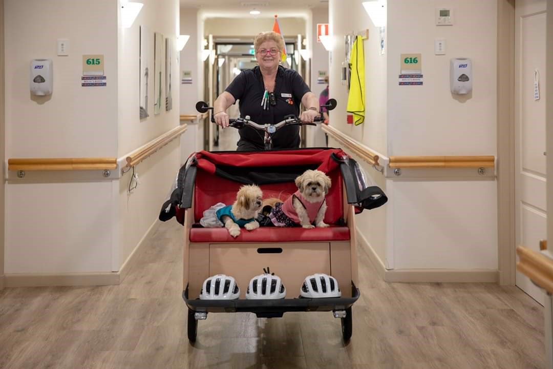 Rowes Bay DT Chezz Thompson w dogs China (pink) Sherbet (blue)  (4).jpg