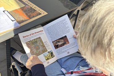 Deirdre reading Desert Dreamings_.jpg
