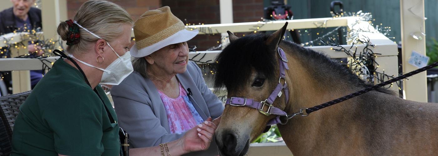 Maureen and Bronte the pony.jpg