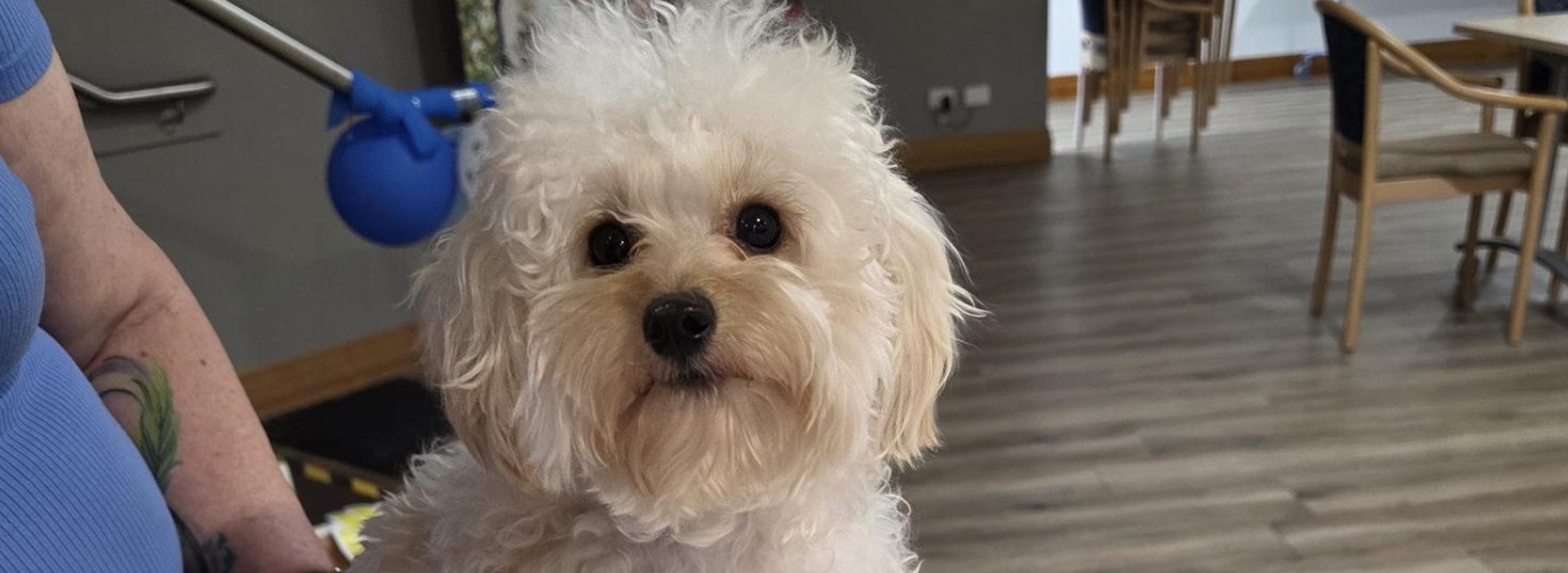 Romeo at his first birthday party.jpg Romeo at his first birthday party.jpg