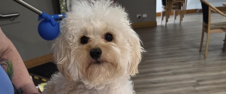 Romeo at his first birthday party.jpg Romeo at his first birthday party.jpg