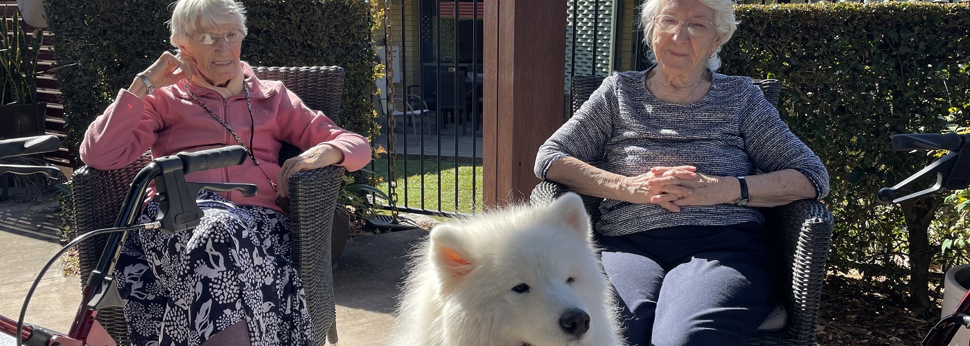 Sparkles with Cazna Gardens residents