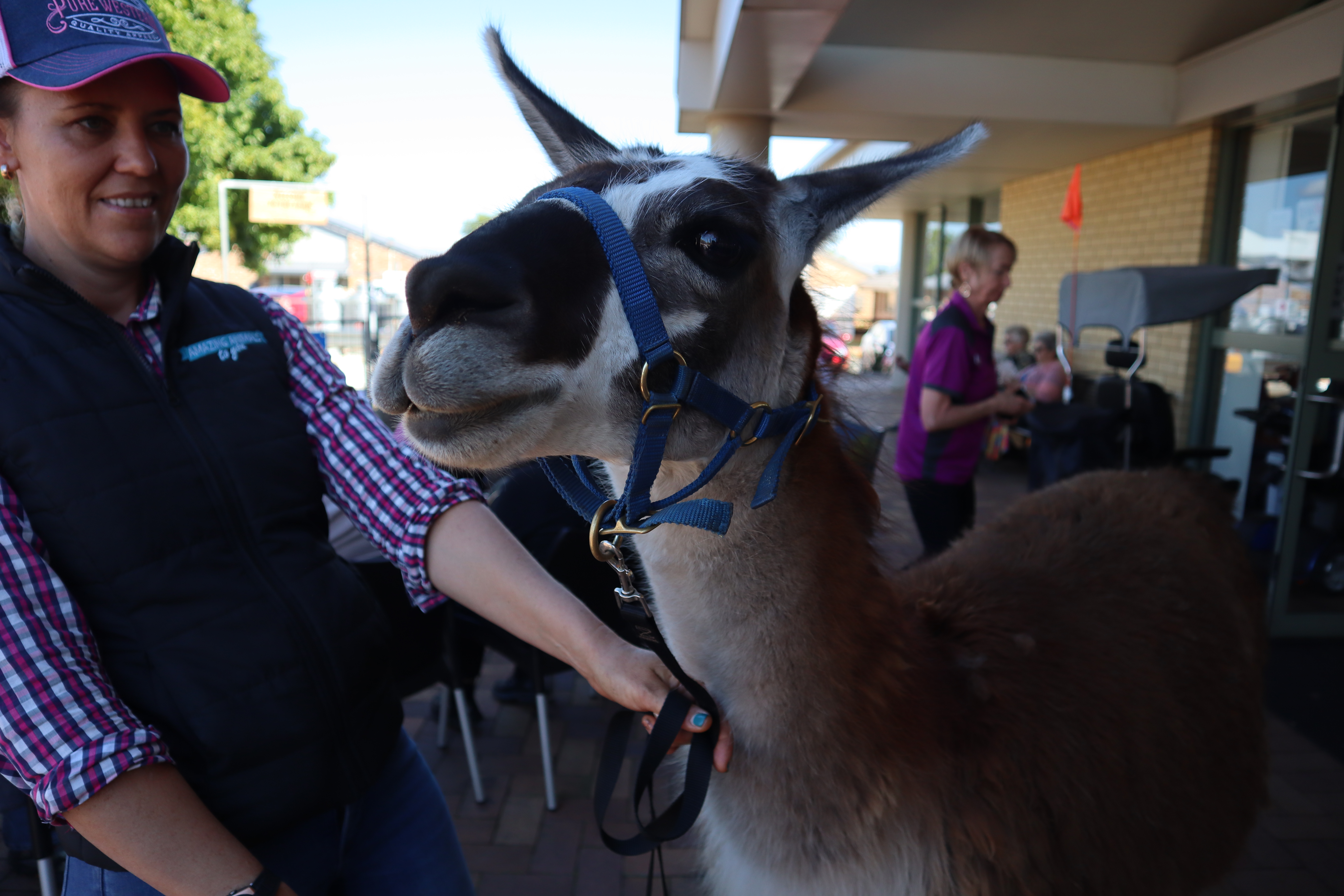 Fernhill Ekka Day Aug 2019 (62).JPG