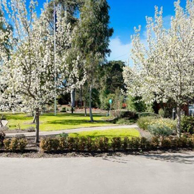 Newmans on the Park Residential Aged Care - garden