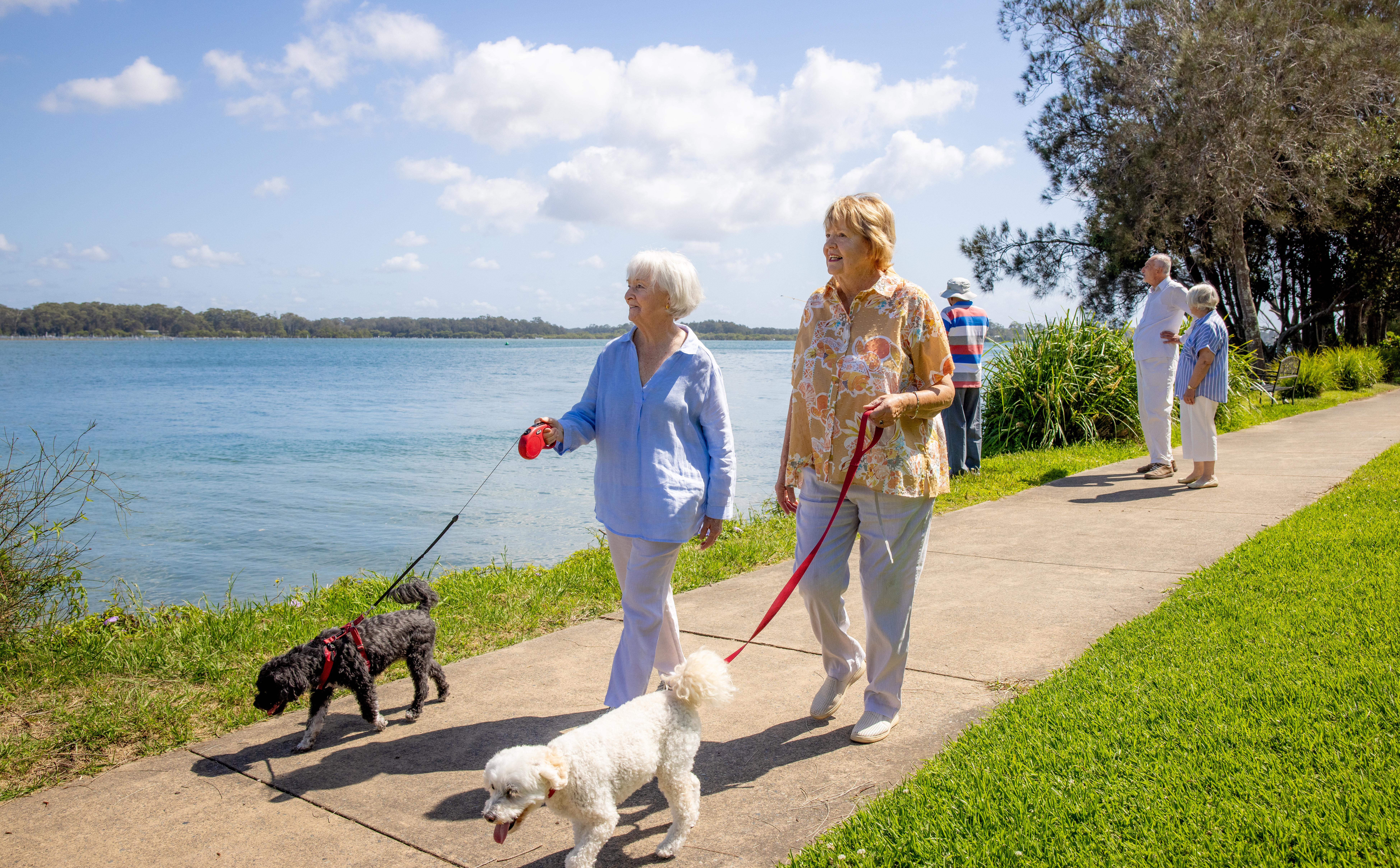 RL Broadwater Gardens_2024.11_012.jpg