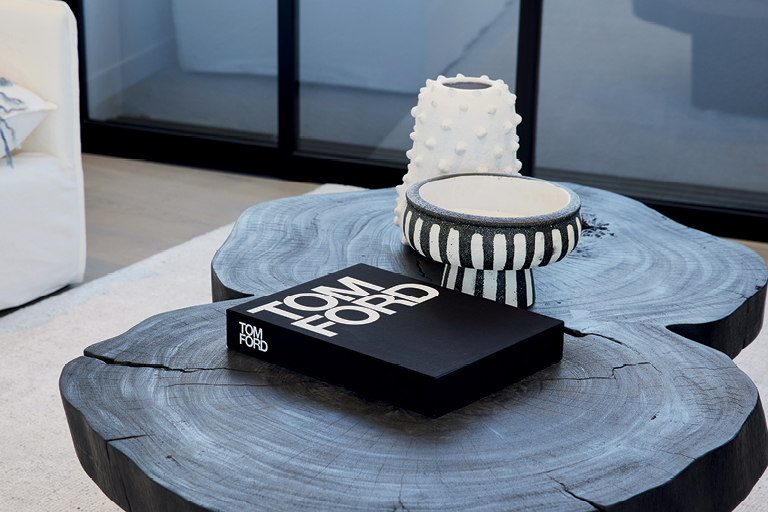 Europa on Alma - 106